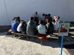 Image_20251125_130428_275